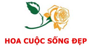 Shop hoa cuộc sống đẹp